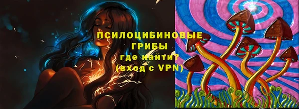 ПСИЛОЦИБИНОВЫЕ ГРИБЫ Алексин